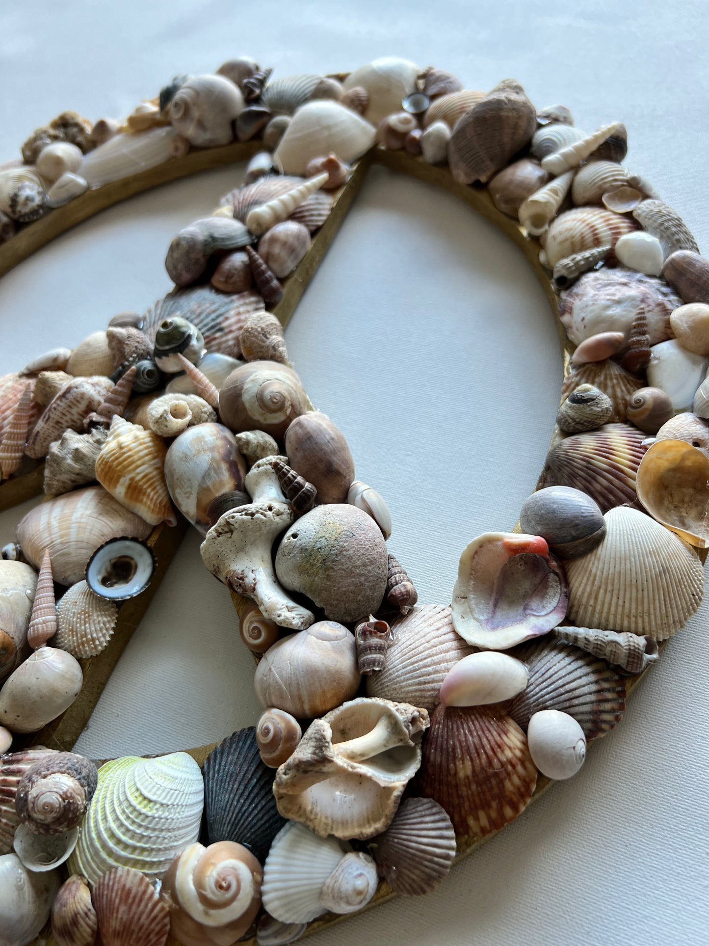 Shell Peace